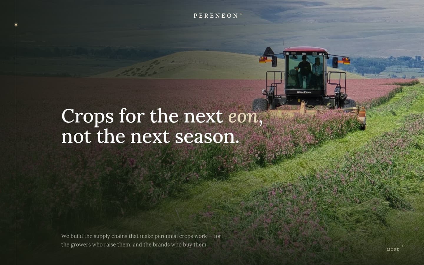 Front page of Pereneon's website, with a field photograph and large editorial headline